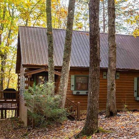 Villa Mountain Time Cabin, Hot Tub, Fire Pit, Fireplace Blue Ridge Exterior foto